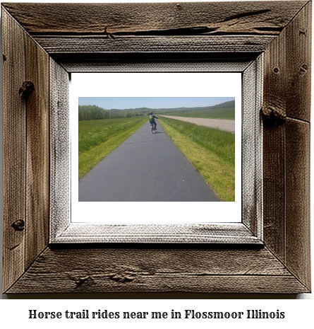 horse trail rides near me in Flossmoor, Illinois